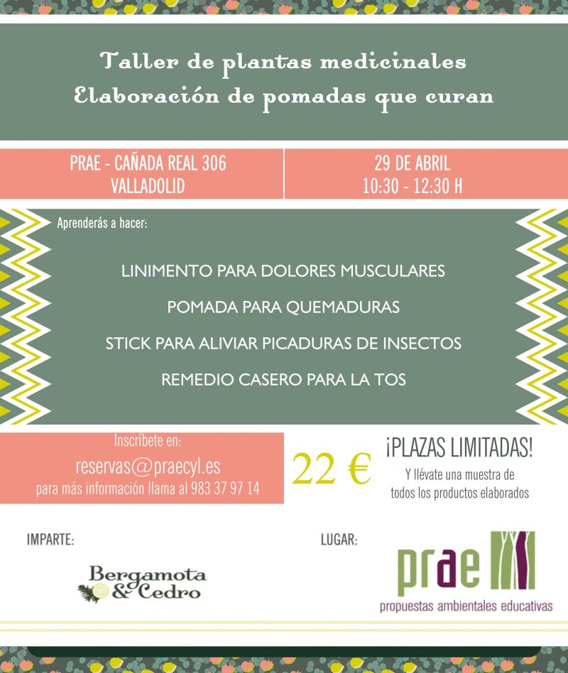 Taller de plantas medicinales. Elaboración de pomadas que curan